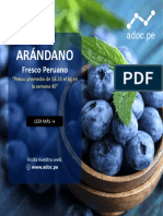 Informacion Arandano C2023-2024-WK40