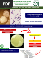 Cultivo e Identificacion Clostridium AV 2020 URP 1
