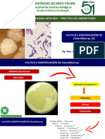 Cultivo e Identificacion Clostridium AV 2020 URP 1