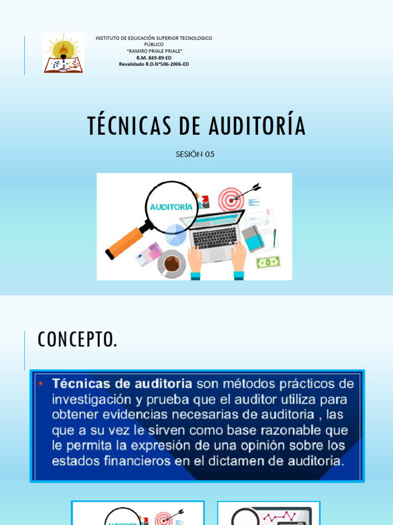 Sesión 5 Técnicas De Auditoría Descargar Gratis Pdf Auditoría