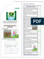 Actividad Lunes 06-11