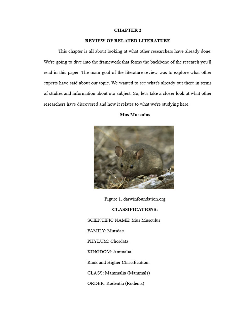 Review of Related Literature PDF Bonsai Horticulture