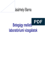 Vasarhelyi Barna Betegagy Melletti Laboratoriumi Vizsgalatok