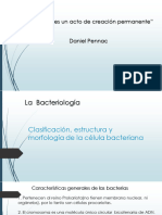 Clase Morfologia y Estructura Microbian (1)