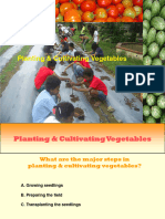 Planting & Cultivating Vegetables