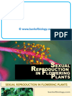 2 Sexual Reproduction in Flowering Plants