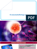 3 Human Reproduction