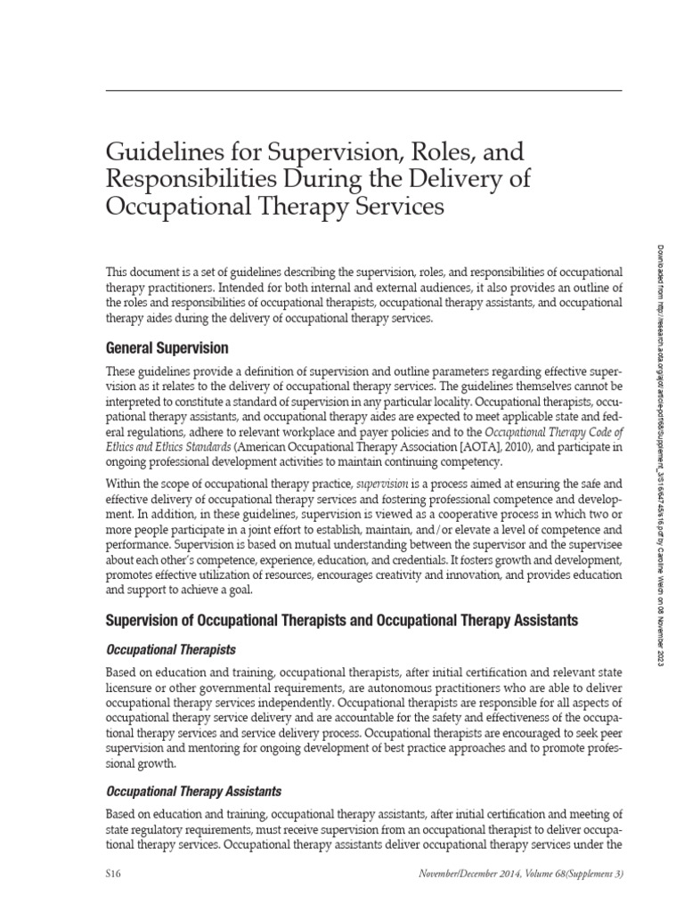 Roles and Responsibilities PDF Occupational Therapy Psychotherapy