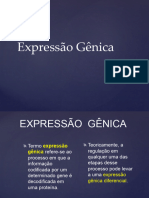 Aula 2-Mecanismo de Regulacao Da Expressao Genica