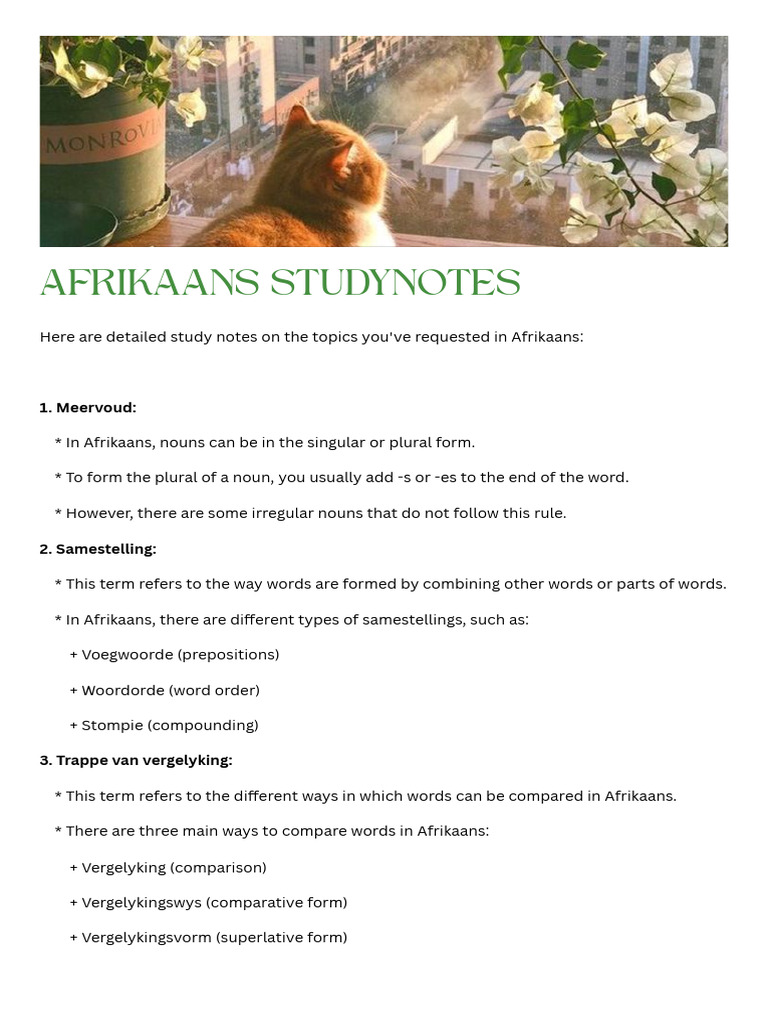 Afrikaans Grammar Study Notes | PDF | Human Communication | Semantic Units