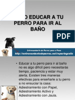 Como Educar A Tu Perro para Ir Al Baño