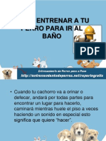 Como Entrenar A Tu Perro para Ir Al Baño