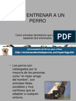 Como Entrenar a Un Perro 