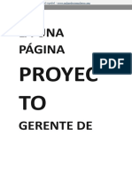 The One Page Project Manager For IT Projects (3) .En - Es
