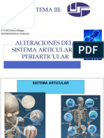 PRESENTACION Sistema Articular