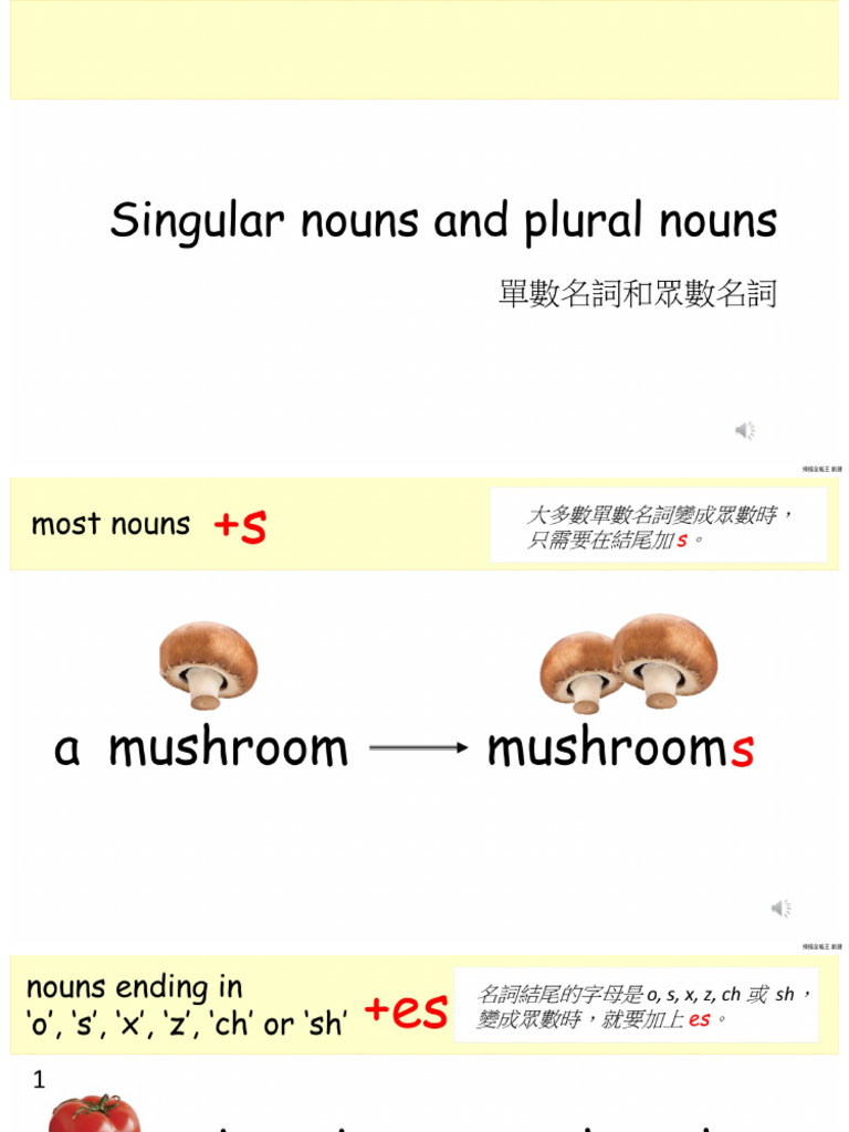 P2 Singular Nouns And Plural Nouns Pdf Pdf