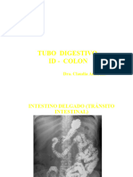 Tubo Digestivo 1 - Id - Colon