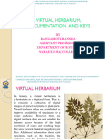 Virtual Herbarium, Documentation and Keys