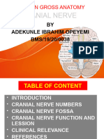 Adekunle Seminar in Cranial Nerv