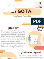Presentacion Patologia La Gota