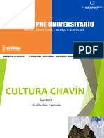 Cultura Chavin