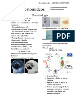 PARAS - Ancilostomídeos
