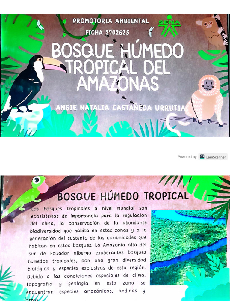 Bosque Humedo PDF