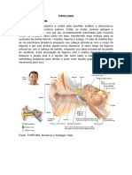 Fisiologia - Roteiro 2 - Módulo 8