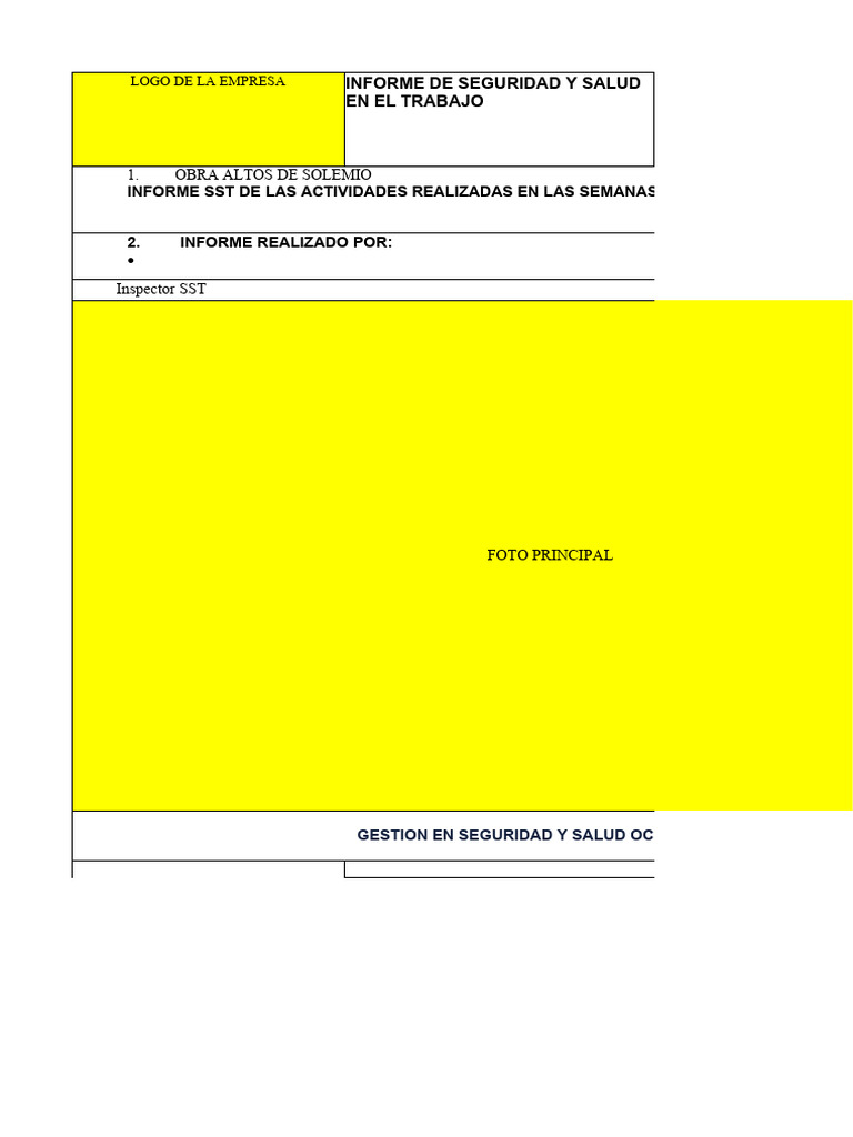 Informe Mensual de SST y Riesgos Laborales | PDF | Seguridad y salud ...