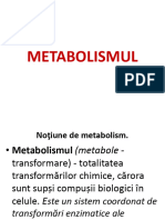 Metab Bioenerg+Dop+Ck+Lr Suport 79113