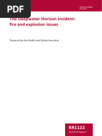 Report HSE Deep HOrizon