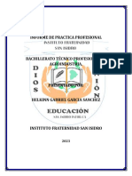 Informe de Practica Profesional