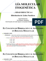 Unidad Didáctica 4 BMC - Hibridación de Ácidos Nucleicos