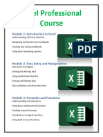 Excel Professional Course