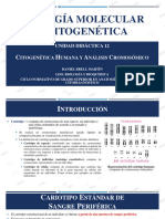Unidad Didáctica 12 BMC Citogenética Humana y Análisis Cromosómico