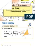 CLASES Homotecia