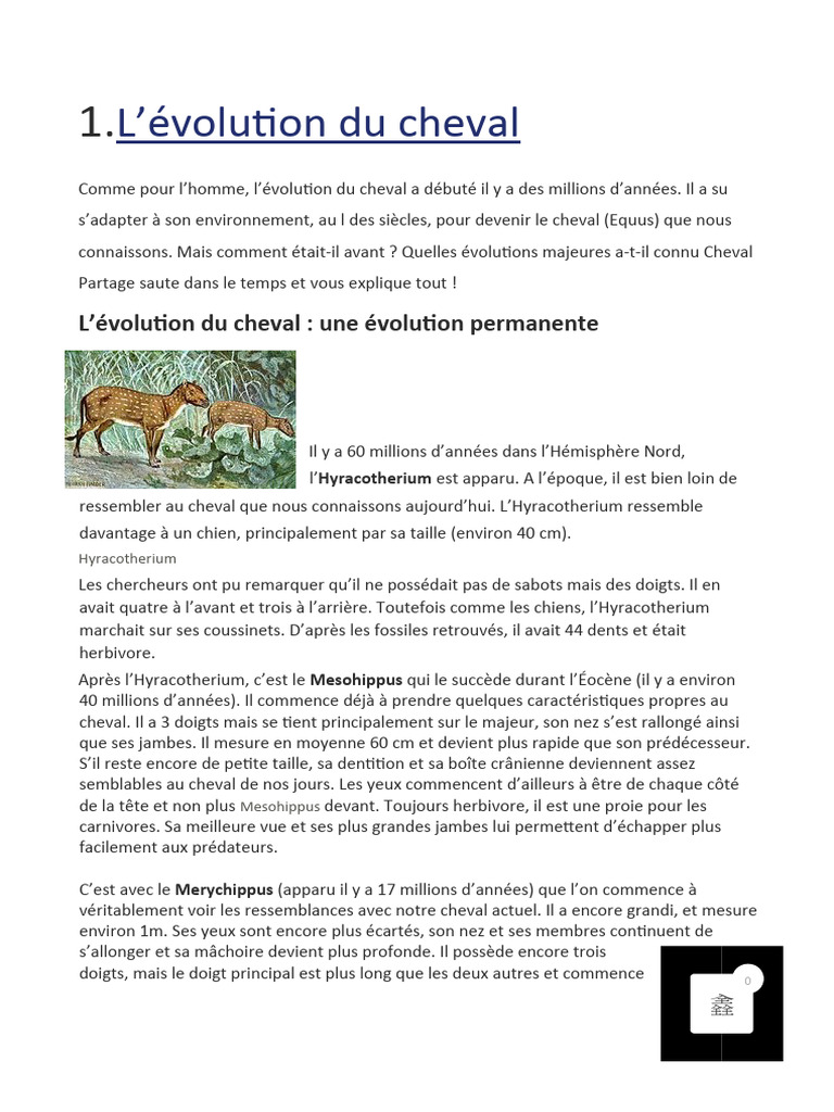 Évolution du cheval à travers le temps | PDF | Chevaux