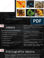 Formas Elementares de Vida AULA 1