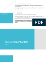 11 MuscularSystemPart2 Fall2023