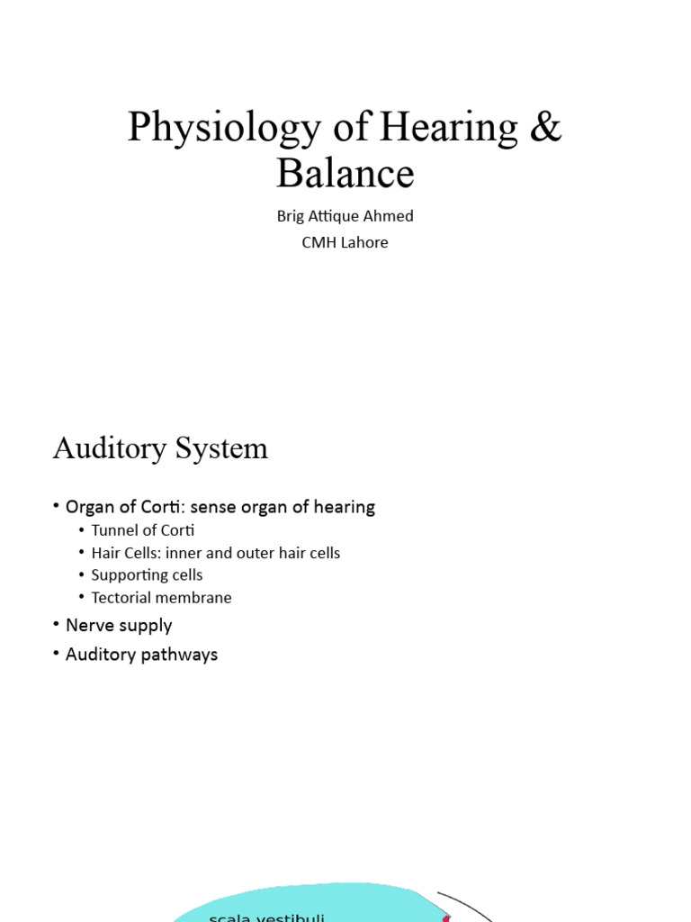 Physiology of Hearing Balance Biology Diagrams