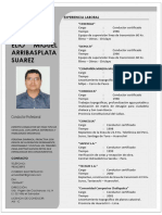 Miguel Arribasplata Suarez CV - 2023