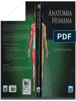 Pina - 1. Anatomia Humana Da Locomoção (4ed)