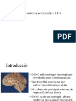 Meninges, Sistema Ventricular I LCR