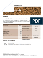 Ficha Técnica Do Produto: Propriedades Químicas Propriedades Físicas