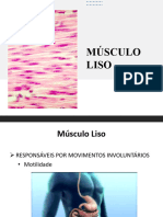 Músculo Liso 2020