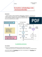 Transformation Metabolique Des Monossacharides