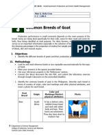Common Breeds of Goats
