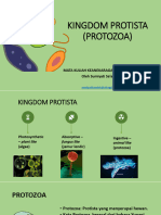 Kuliah Kedua Kingdom Protista Protozoa
