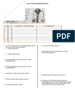 Sistem Reproduksi