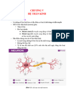 Chương V - Hệ Thần Kinh